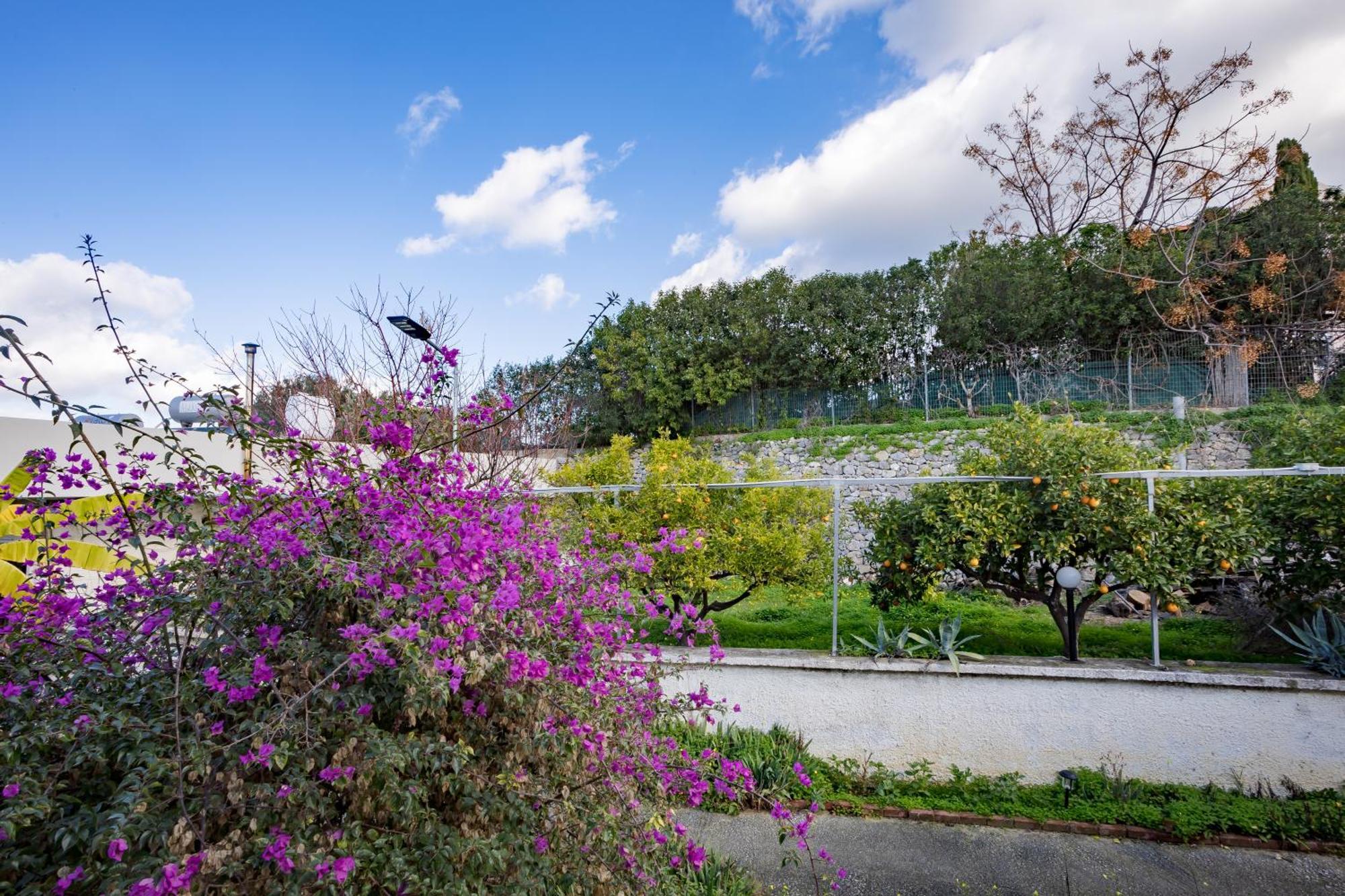 Rose Of Crete Aparthotel Platanés Kültér fotó